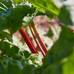 Relais & Chateaux Bij Jef ホテル 5*